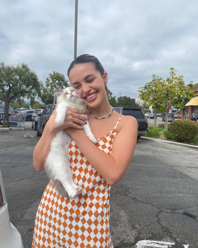 Fluffy Hearts Ragdolls img5